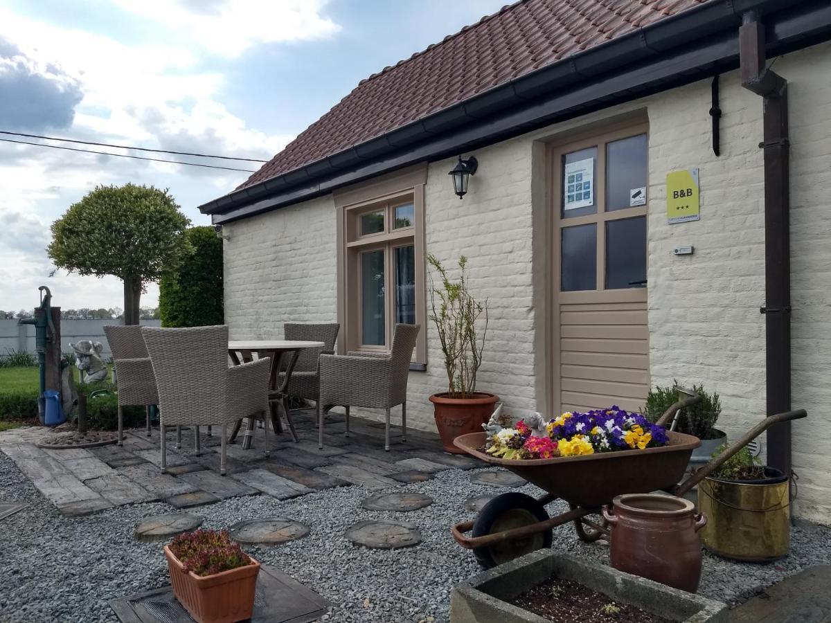 Dhofstede Vakantiewoning 오우데나르데 외부 사진