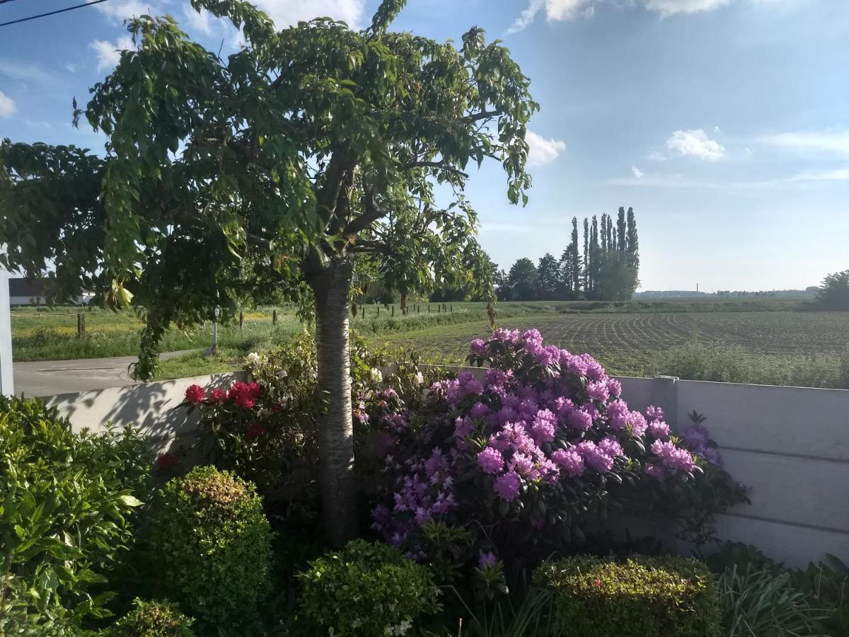 Dhofstede Vakantiewoning 오우데나르데 외부 사진